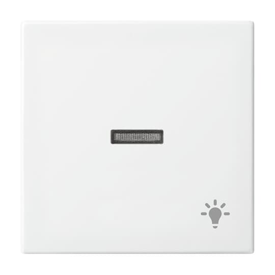 Busch-Jaeger 1789 LI-914 Wippe mit Aufdruck alpinweiß