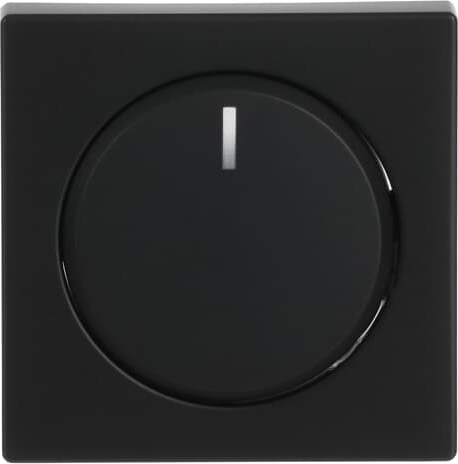 Busch-Jaeger 6540-885-102 Zentralscheibe sw mt für Drehdimmer