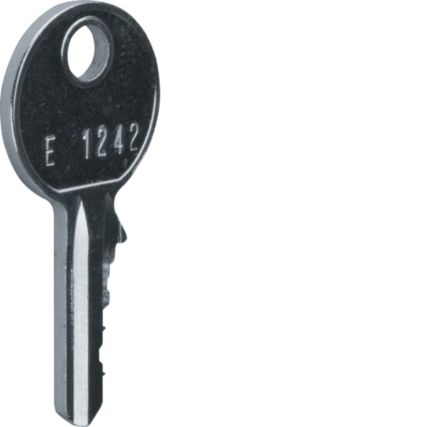 Hager FZ596 Ersatzschlüssel f.FZ597