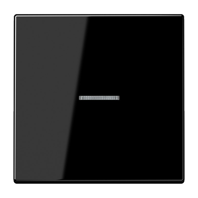 Jung LS 990 KO5 SW Wippe Lichtleiter ws für Taster