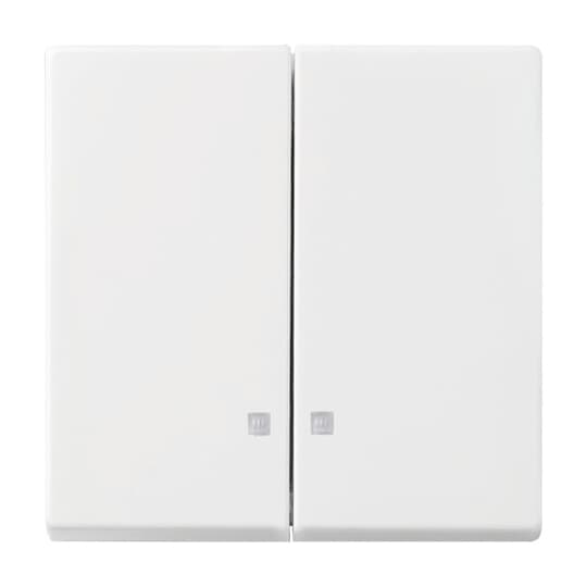 Busch-Jaeger 2505 K-914 Wippe alpinweiß