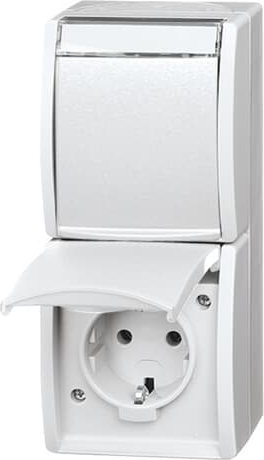 Busch-Jaeger 20-02 EWN-54 Steckdose 2fach senkrecht m.Beschriftungsfeld