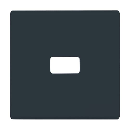 Busch-Jaeger 2120-35 Wippe anth offen für Symbol