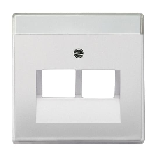 Busch-Jaeger 1803-02-866 Zentralscheibe eds f.UAE-Anschlussdo.2f