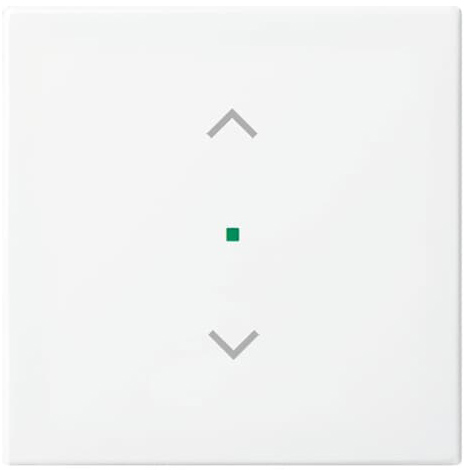 Busch-Jaeger 6232-10-914 Wippe aws Busch-balance SI