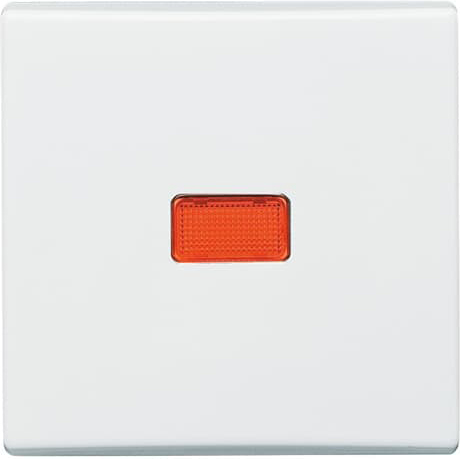 Busch-Jaeger 2107-34 Wippe aws Kontroll-Wechsel