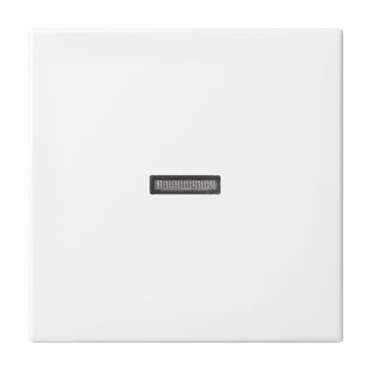 Busch-Jaeger 1789 N-914 Wippe aws Busch-balance SI