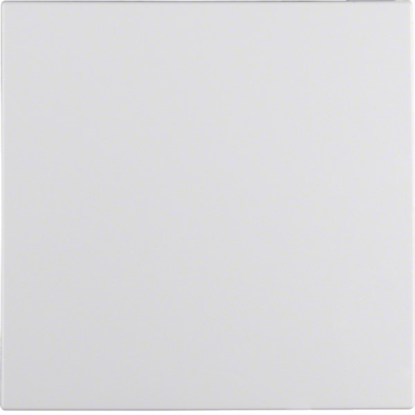 Berker 16201909 Wippe pws/matt