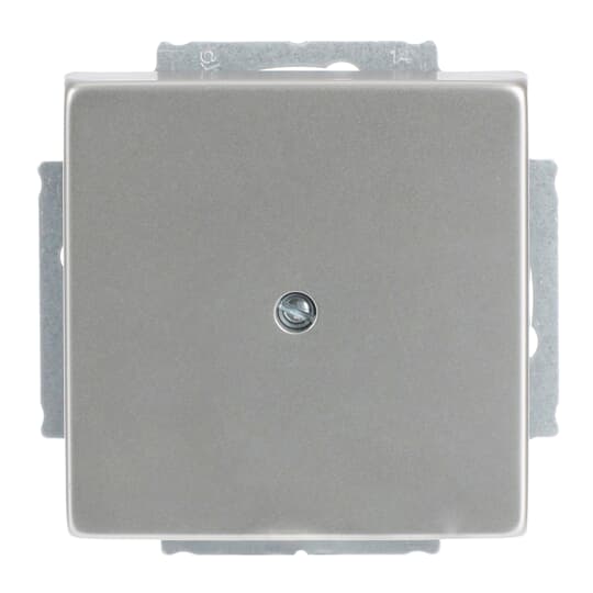 Busch-Jaeger 1742-866 Zentralscheibe eds Blindabd,m.Tragring