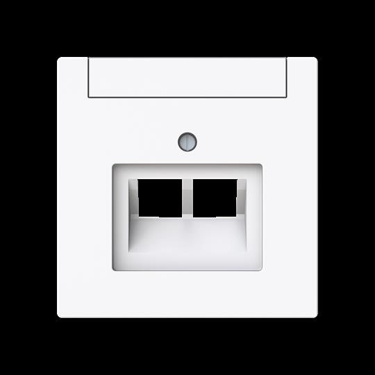 Busch-Jaeger 1803-02-44G Zentralscheibe 2-fach, UAE m. Beschriftungsfeld