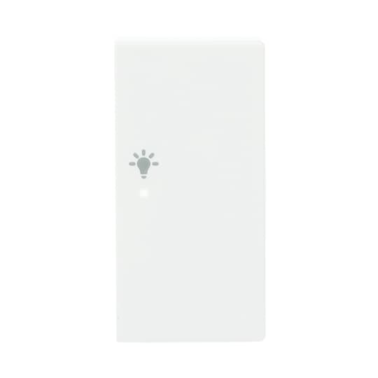 Busch-Jaeger 6231-22-84 Wippe 2-f re, Symbol Licht studioweiß