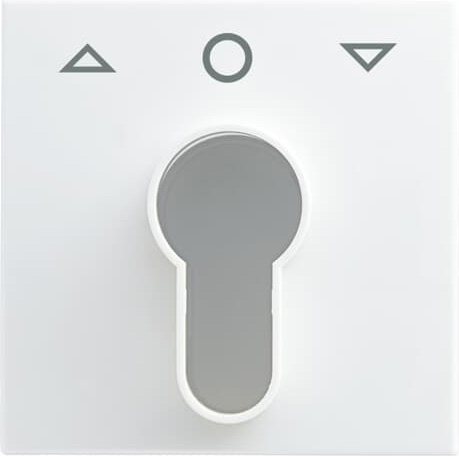 Busch-Jaeger 2557 PZ-914-101 Zentralscheibe alpinws Jalousie/Zeitschalt